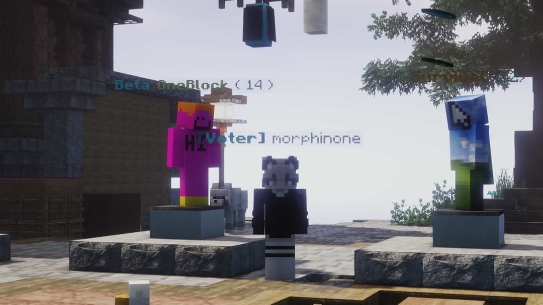 Player with the Voter rank in AdderallMC